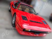 Ferrari 208 Turbo - anno 1984 - Lavaggio completo dell’interno >>>>> - La 208 turbo del nostro cliente. (-)
